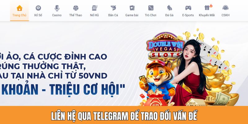 Liên hệ qua Telegram để trao đổi vấn đề