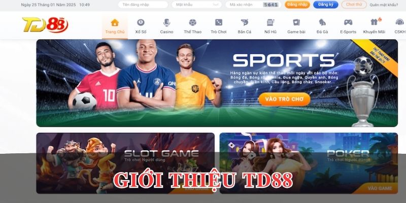 Giới thiệu ngắn gọn về dịch vụ TD88
