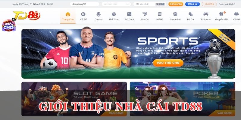 Giới thiệu về sân chơi TD88 online