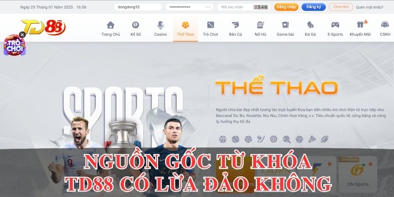 Nguồn gốc của từ khoá TD88 có lừa đảo không